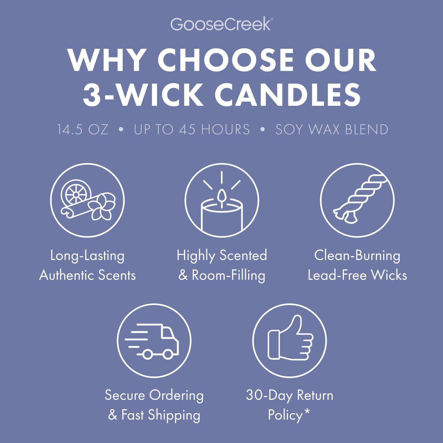 Fairly Odd Parents Nickelodeon 3-Wick Candle