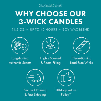 Beach Party 3-Wick Candle