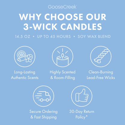 Blueberry Cheesecake 3-Wick Candle