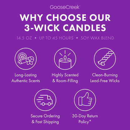 Blueberry Funnel Cake 3-Wick Candle