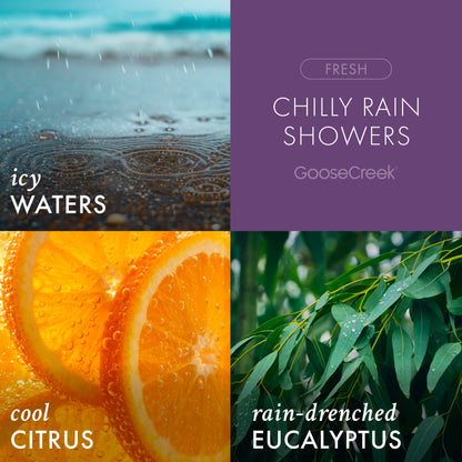 Chilly Rain Showers Odor Eliminating Room Spray