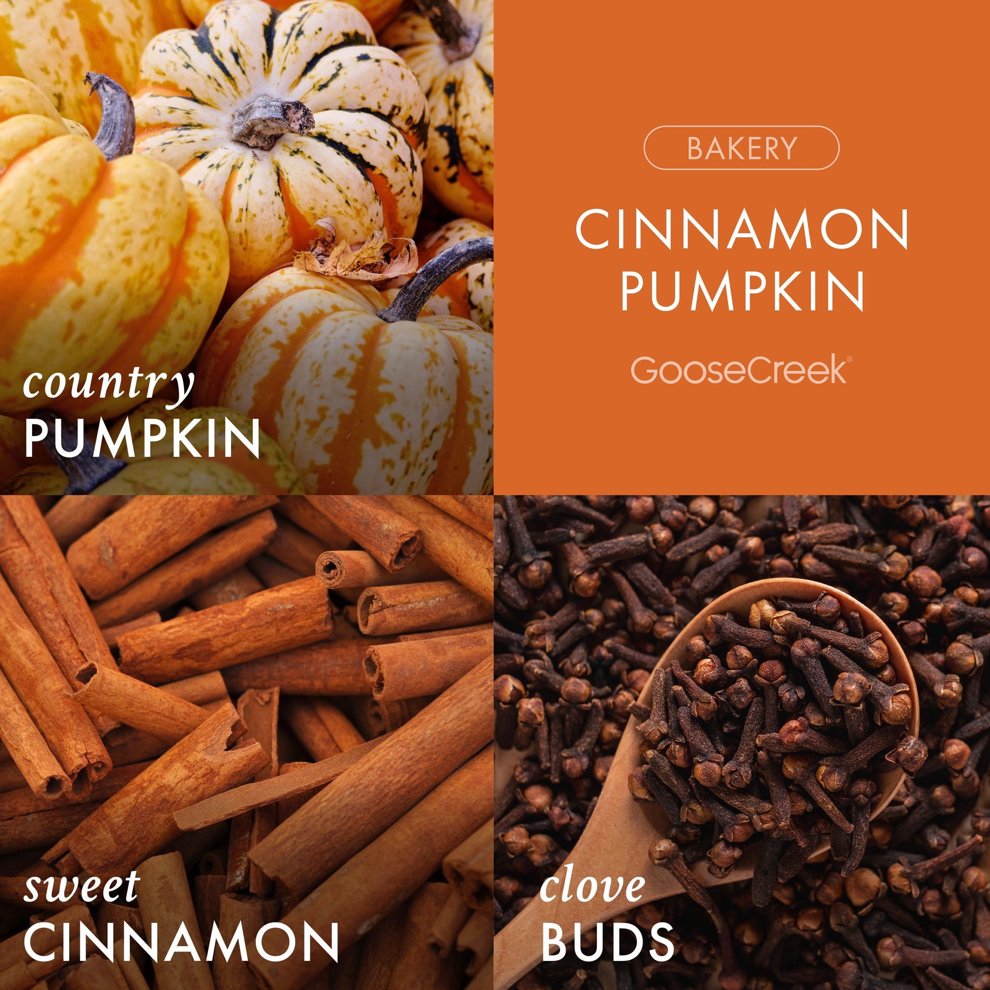Cinnamon Pumpkin Plug-in Refill