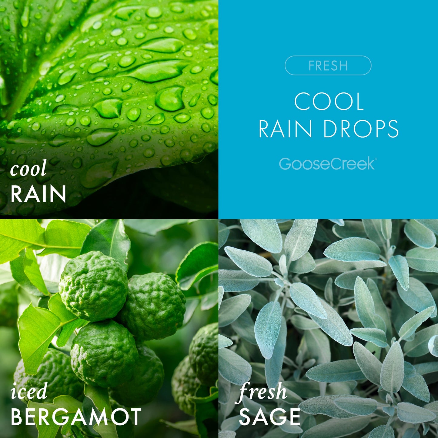 Cool Rain Drops 3-Wick Candle