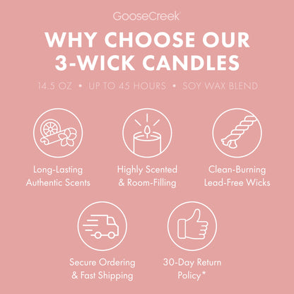 Dragonfruit Splash 3-Wick Candle