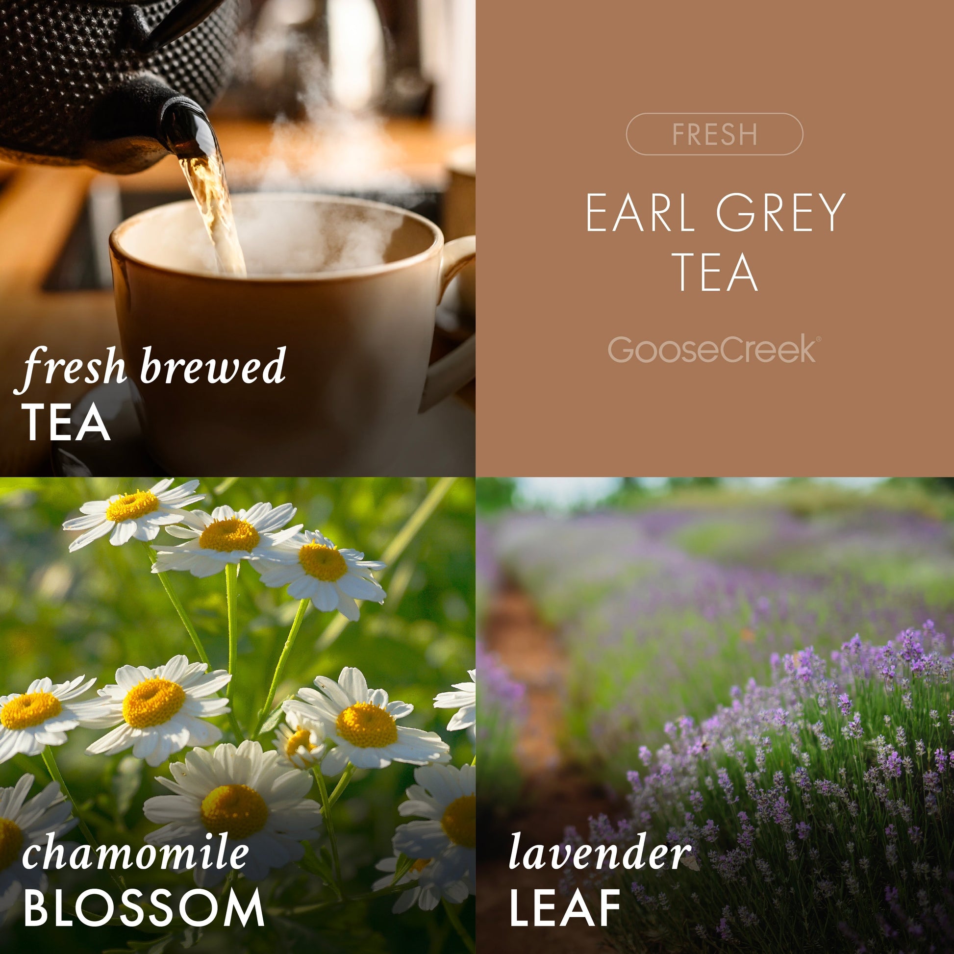 Earl Grey Tea 3-Wick Candle