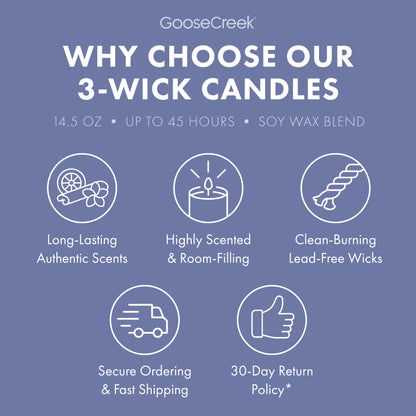 Fairly Odd Parents Nickelodeon 3-Wick Candle