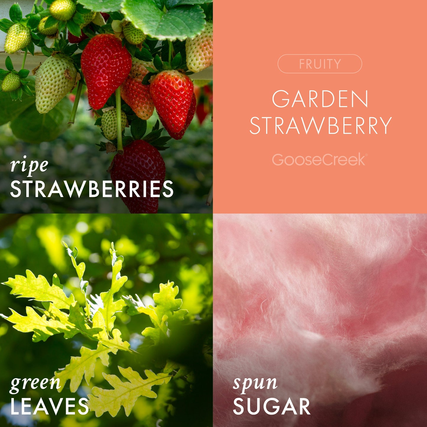Garden Strawberry Odor Eliminating Room Spray
