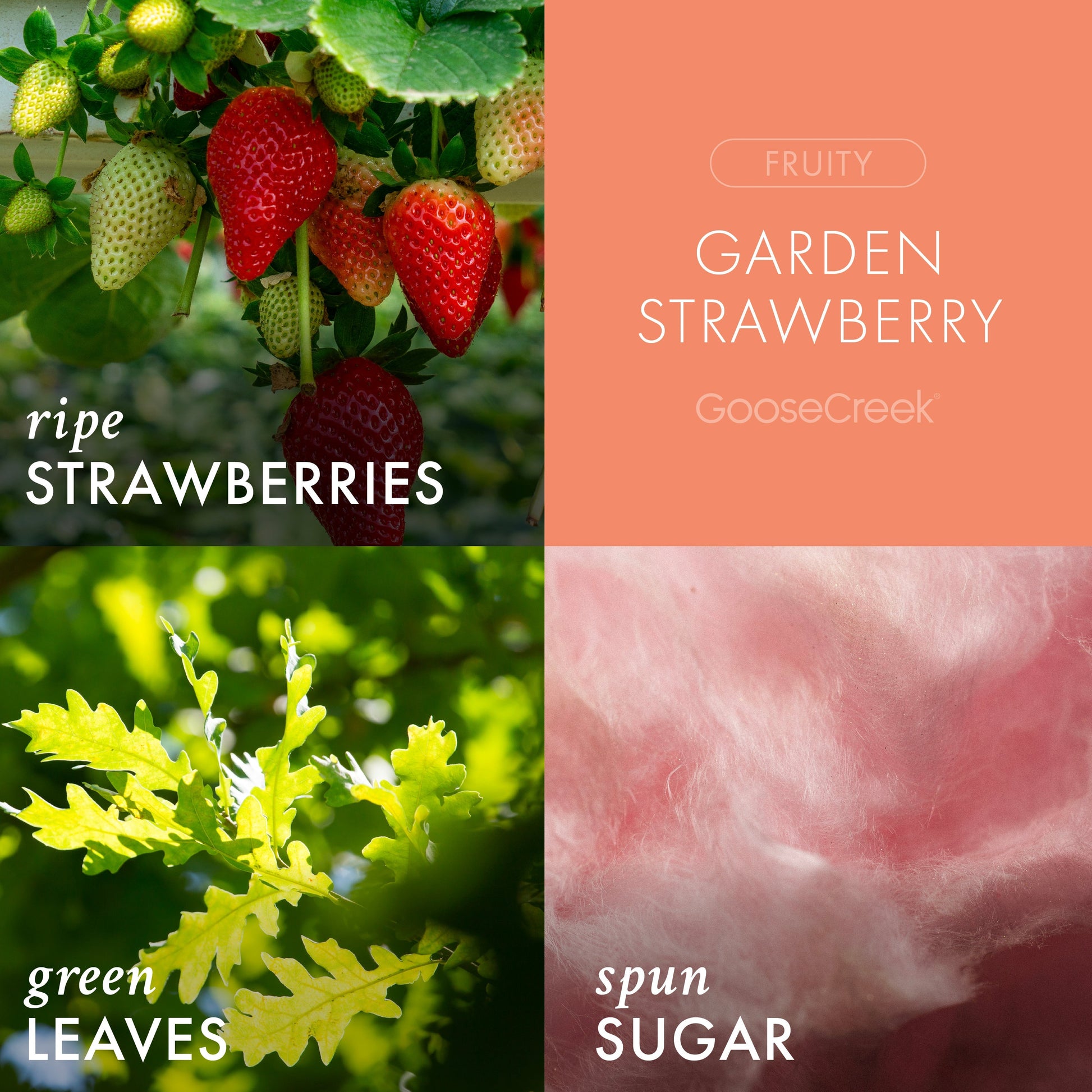 Garden Strawberry Odor Eliminating Room Spray