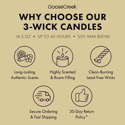 Girl Scout Adventurefuls™ 3-Wick Candle