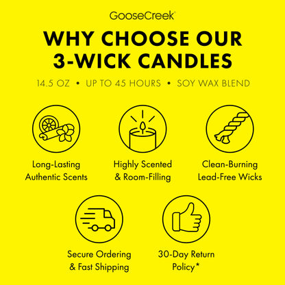 Girl Scout Lemon-Ups™ 3-Wick Candle