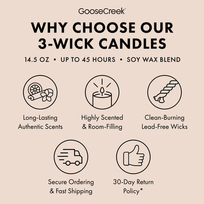 Ivory Pumpkin 3-Wick Candle