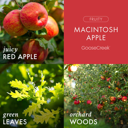 Macintosh Apple 3-Wick Candle