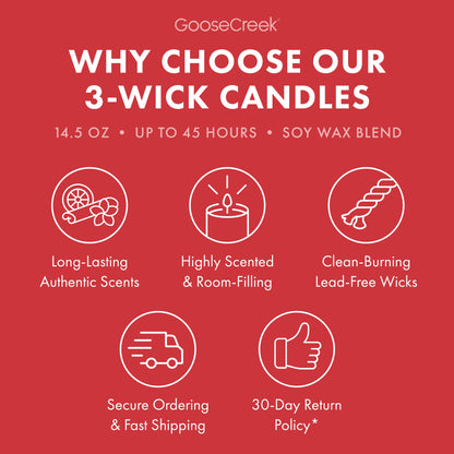 Macintosh Apple 3-Wick Candle