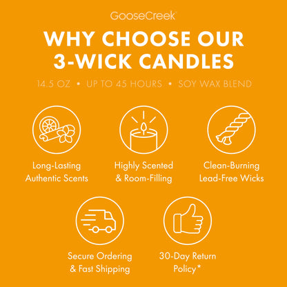 Mango Sticky Rice 3-Wick Candle