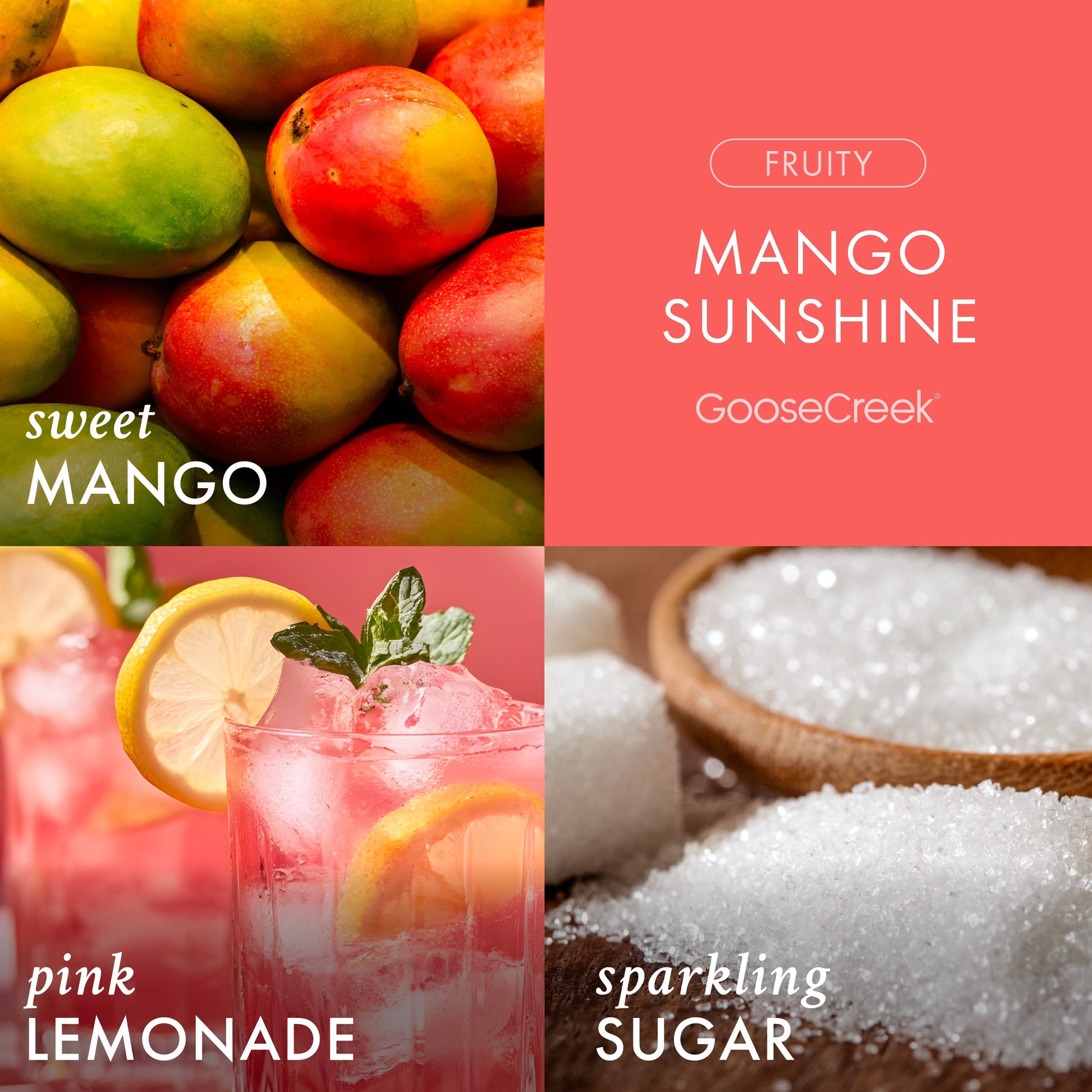 Mango Sunshine 3-Wick Candle