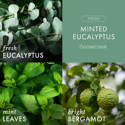 Minted Eucalyptus 3-Wick Candle