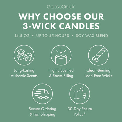 Minted Eucalyptus 3-Wick Candle