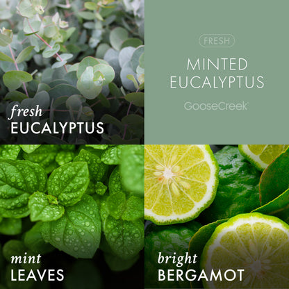 Minted Eucalyptus Wax Melt