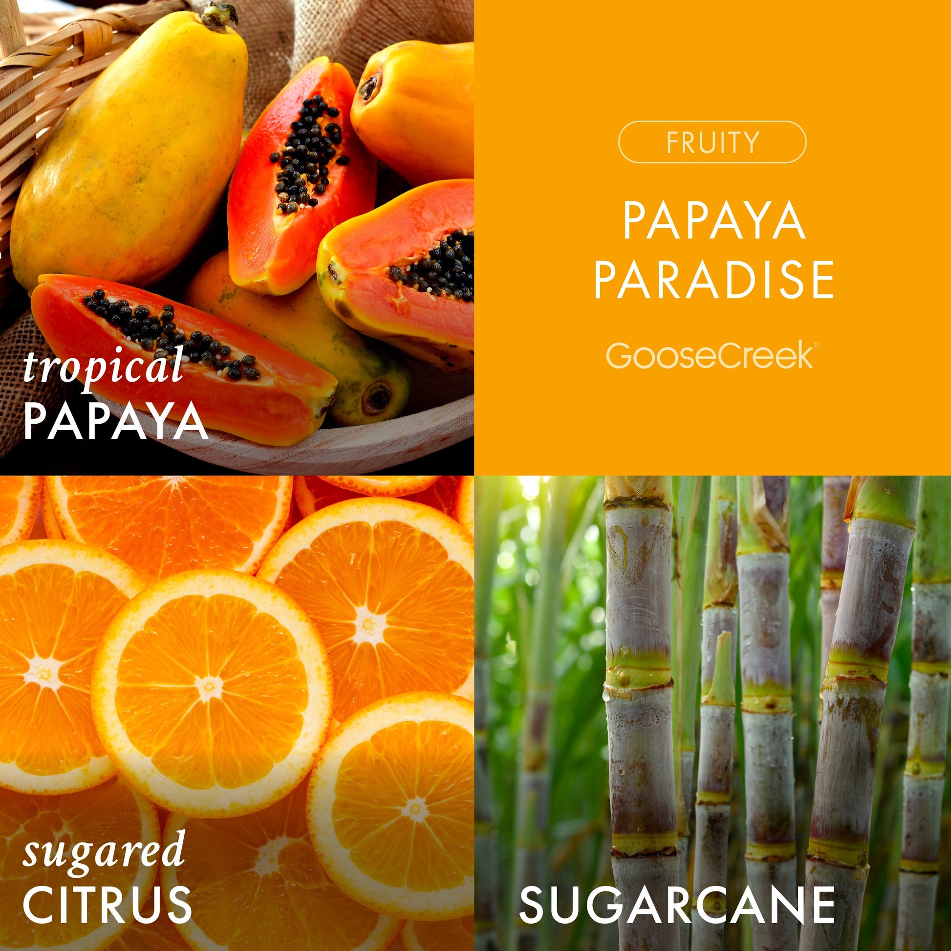 Papaya Paradise 3-Wick Candle