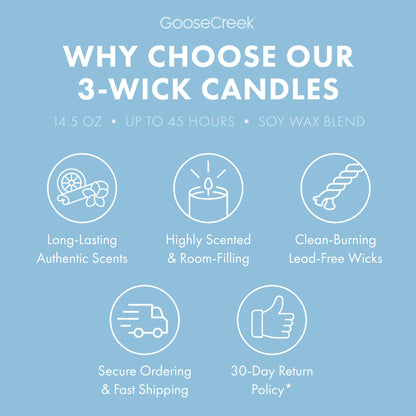 Rocket Power Nickelodeon 3-Wick Candle