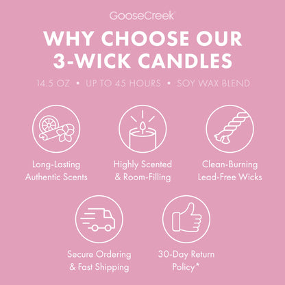 Rocko's Modern Life Nickelodeon 3-Wick Candle