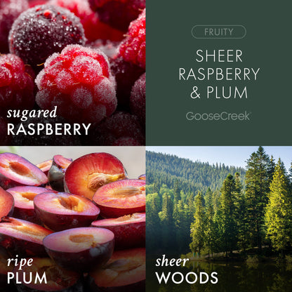 Sheer Raspberry & Plum Plug-in Refill