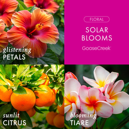 Solar Blooms 3-Wick Candle
