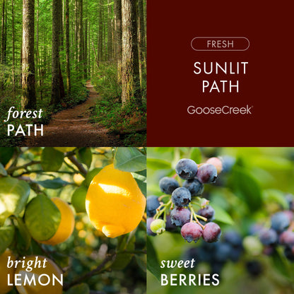 Sunlit Path 3-Wick Candle