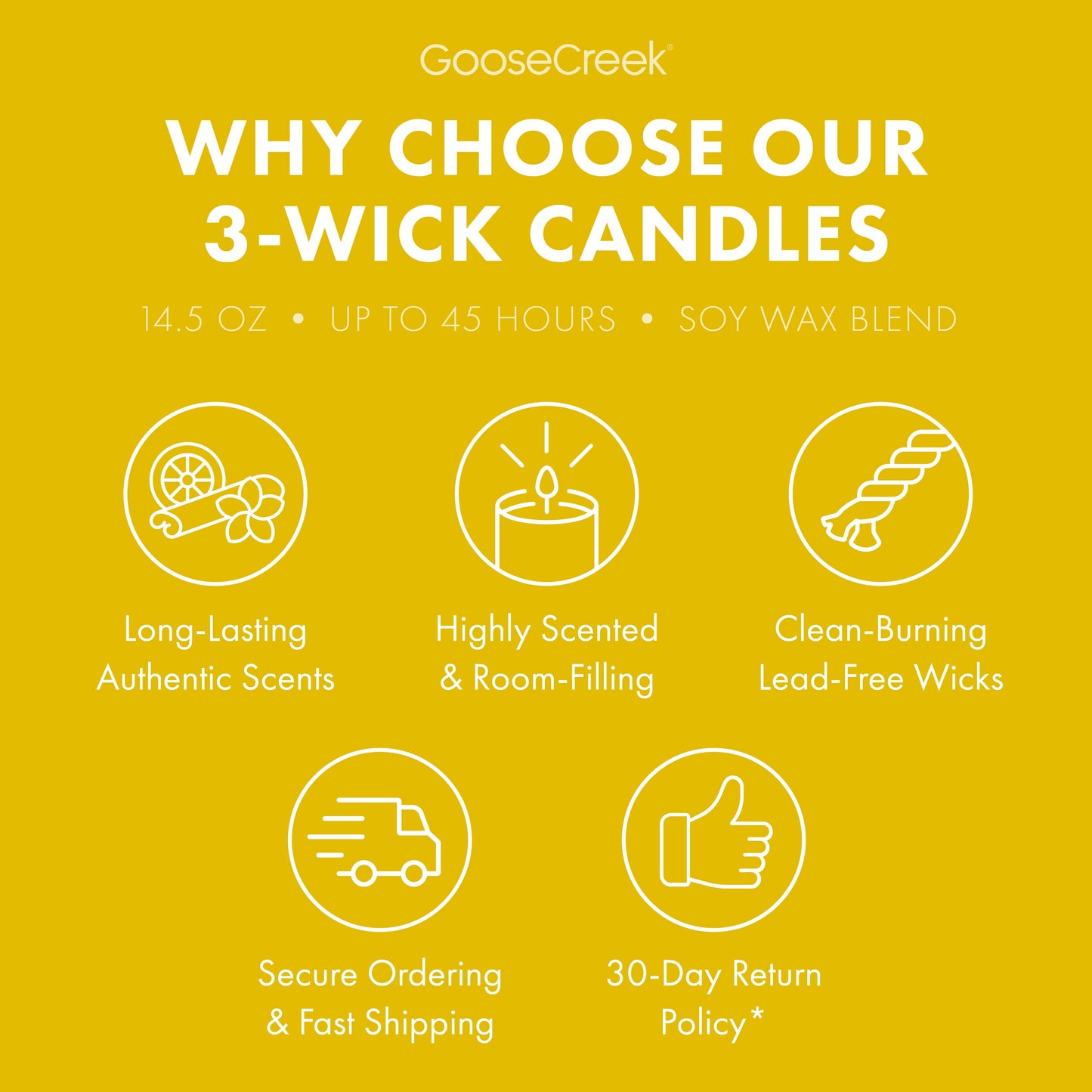 The Wild Thornberry's Nickelodeon 3-Wick Candle