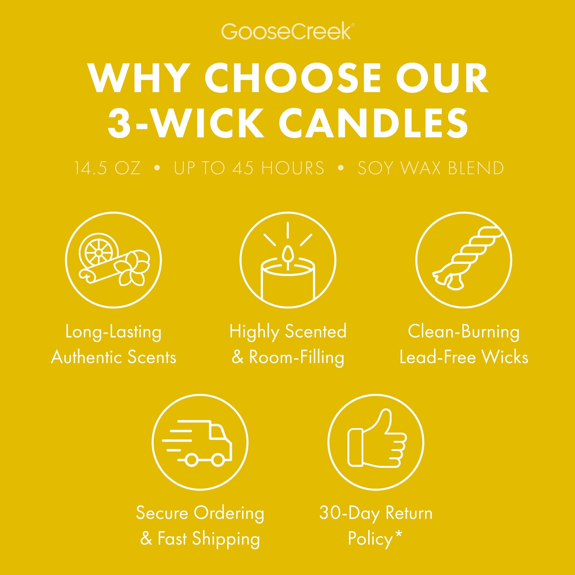 The Wild Thornberry's Nickelodeon 3-Wick Candle