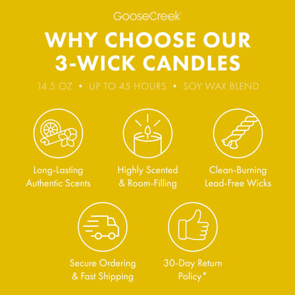 The Wild Thornberry's Nickelodeon 3-Wick Candle