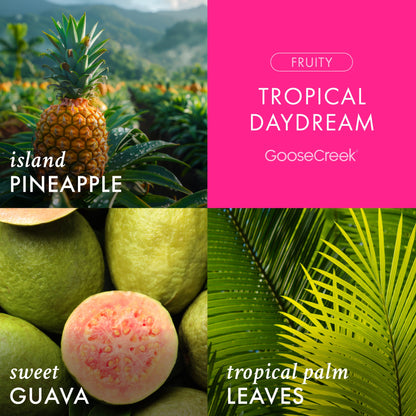 Tropical Daydream 3-Wick Candle